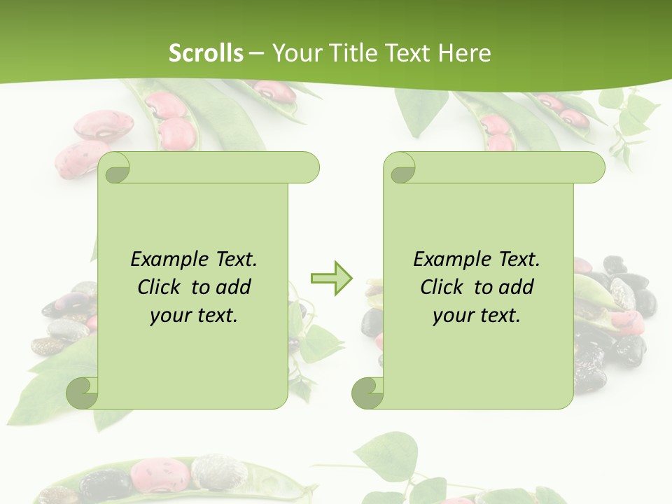 Nature Bean Collection PowerPoint Template