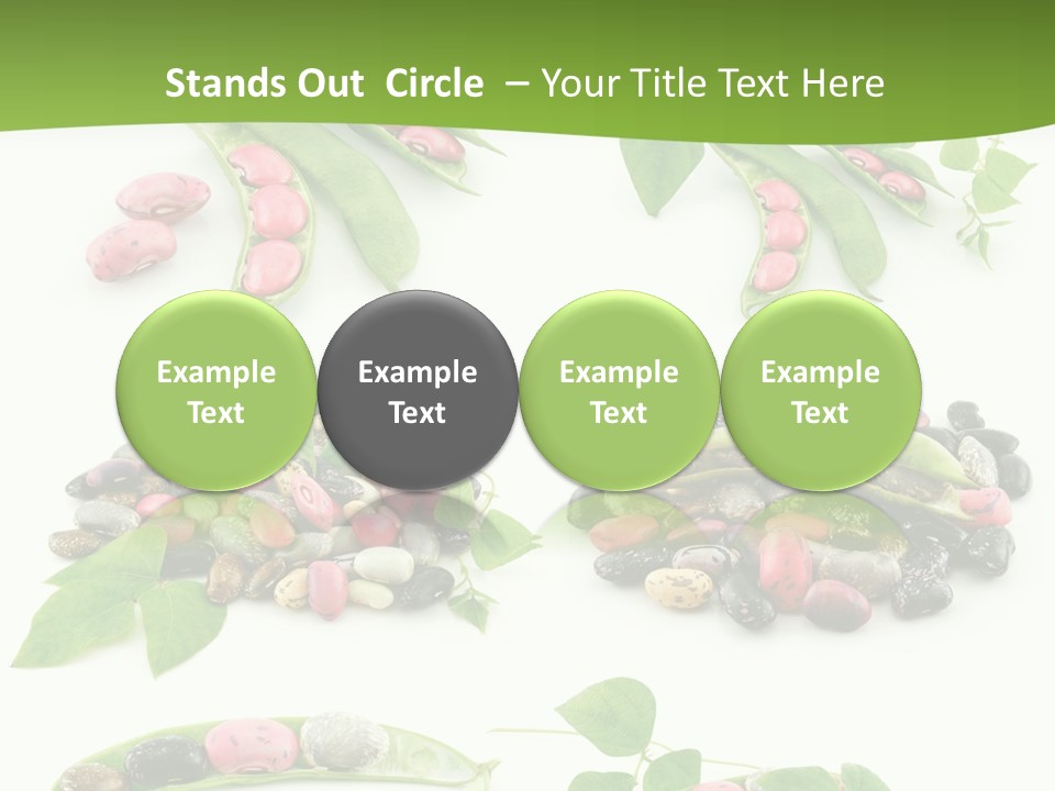 Nature Bean Collection PowerPoint Template