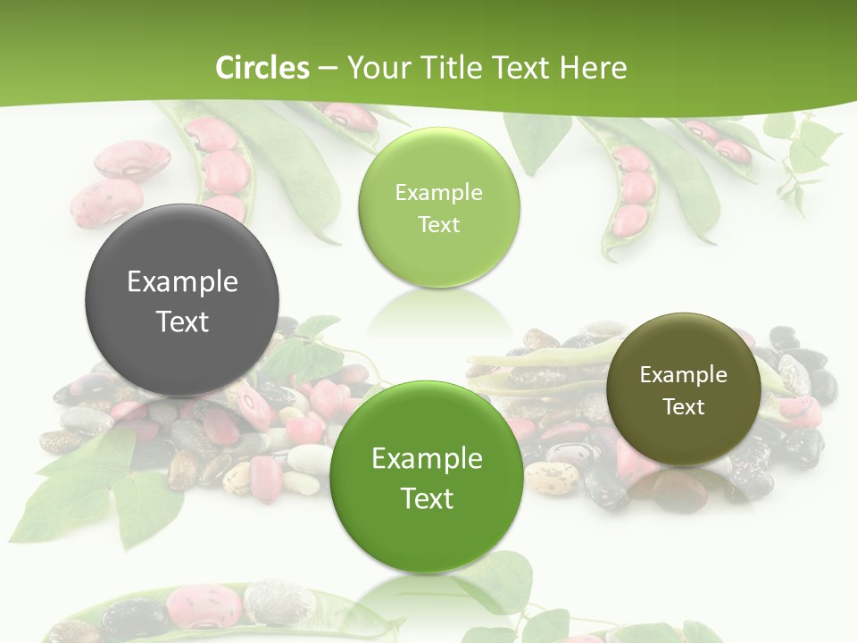 Nature Bean Collection PowerPoint Template