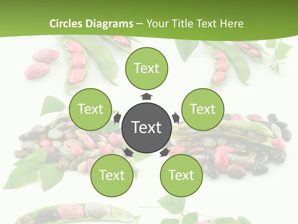 Nature Bean Collection PowerPoint Template