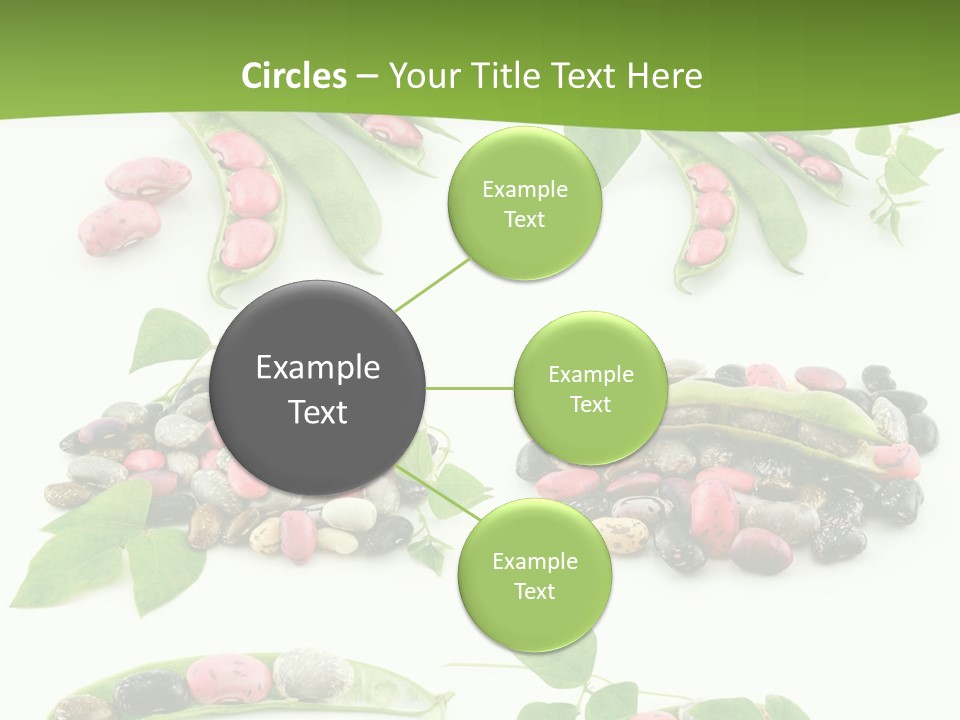 Nature Bean Collection PowerPoint Template