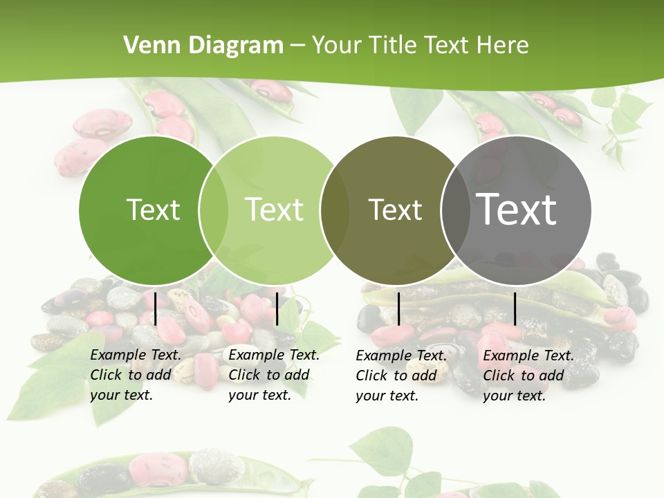 Nature Bean Collection PowerPoint Template