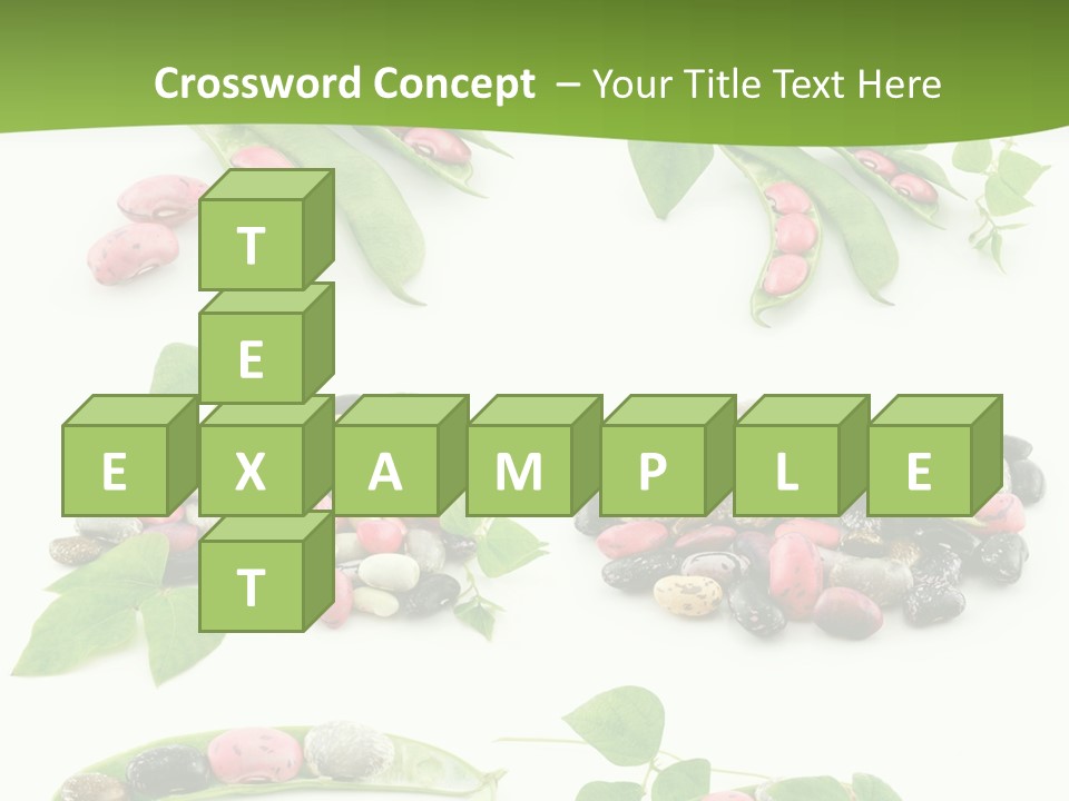 Nature Bean Collection PowerPoint Template