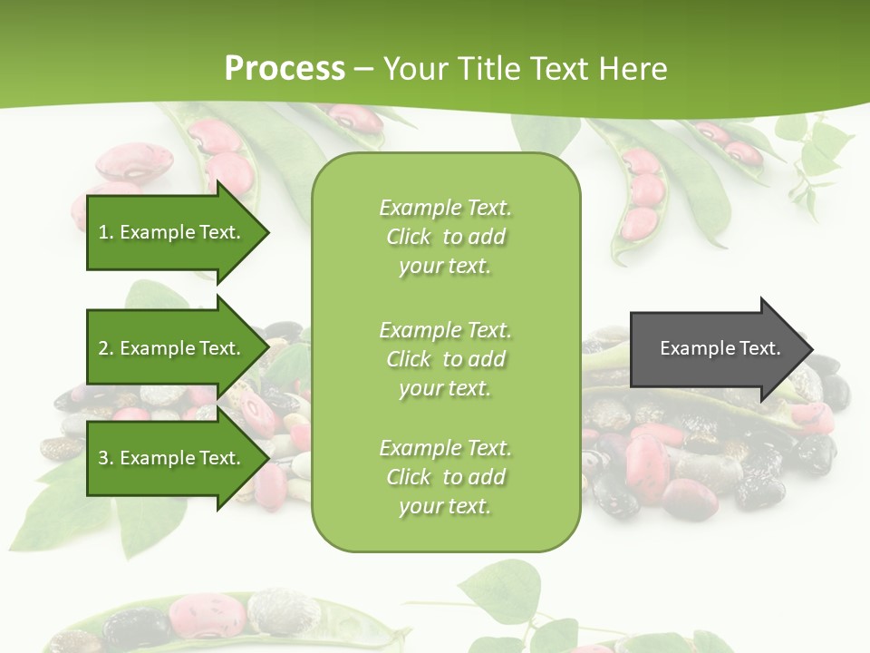 Nature Bean Collection PowerPoint Template