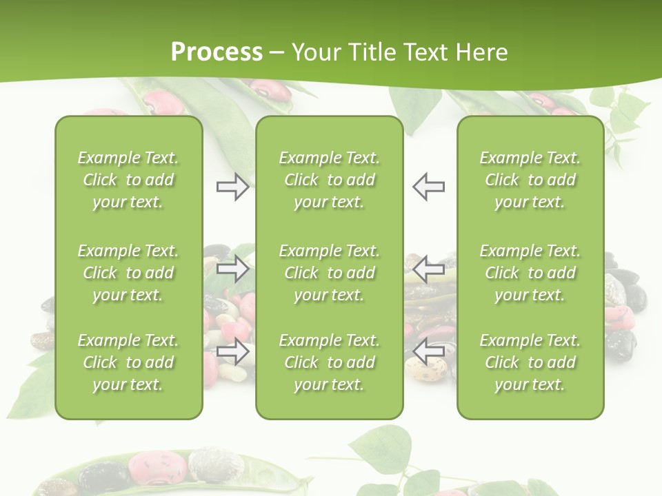 Nature Bean Collection PowerPoint Template
