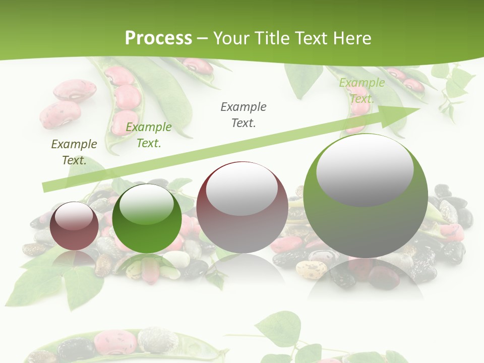 Nature Bean Collection PowerPoint Template