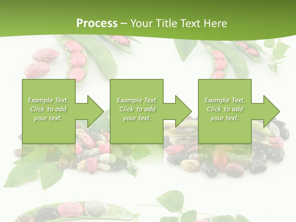 Nature Bean Collection PowerPoint Template