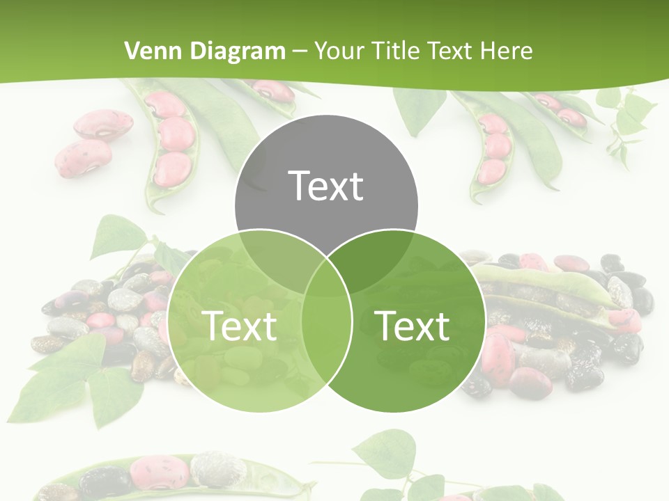 Nature Bean Collection PowerPoint Template