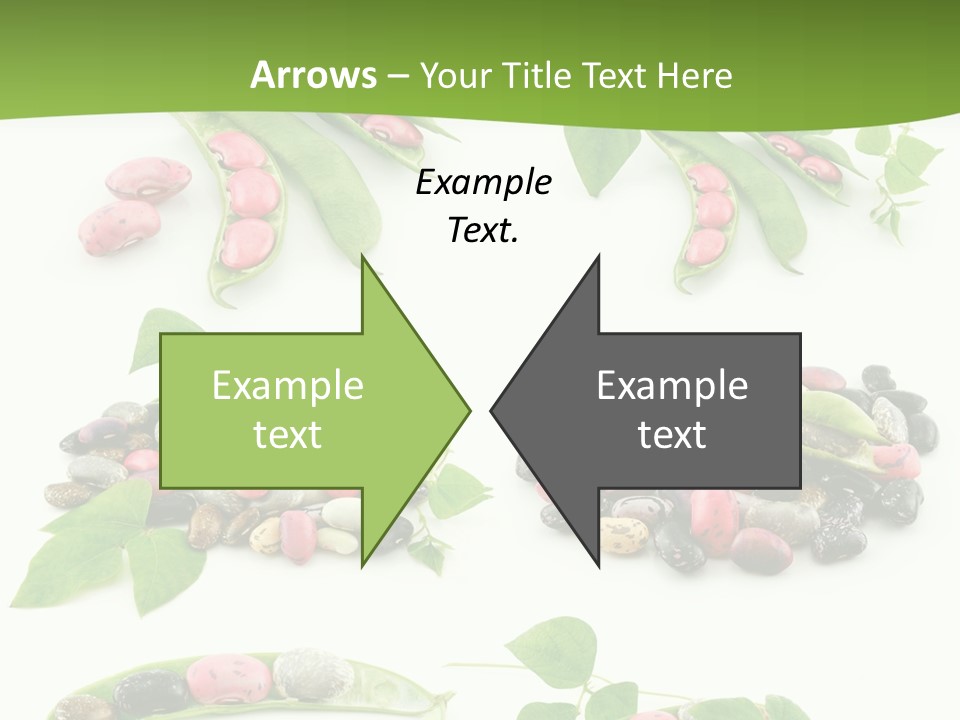 Nature Bean Collection PowerPoint Template
