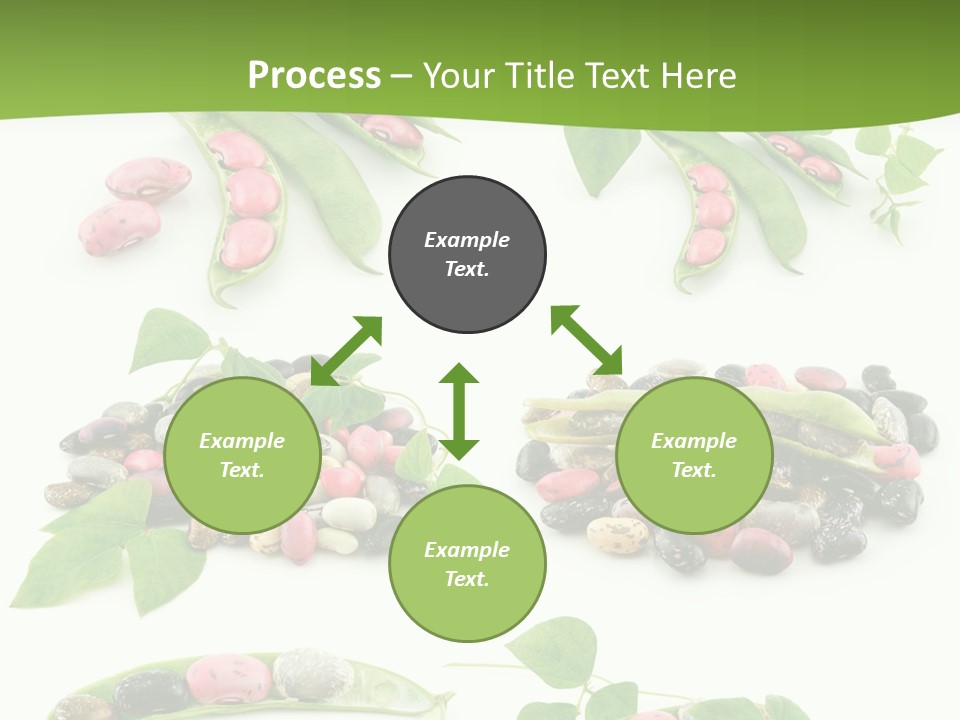 Nature Bean Collection PowerPoint Template