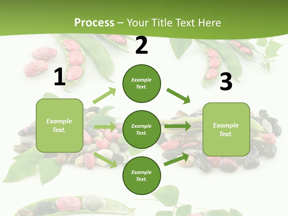 Nature Bean Collection PowerPoint Template