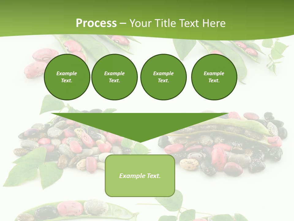 Nature Bean Collection PowerPoint Template