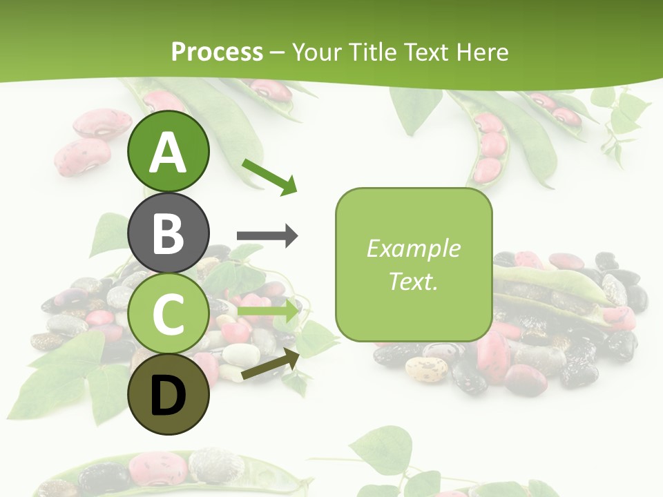 Nature Bean Collection PowerPoint Template