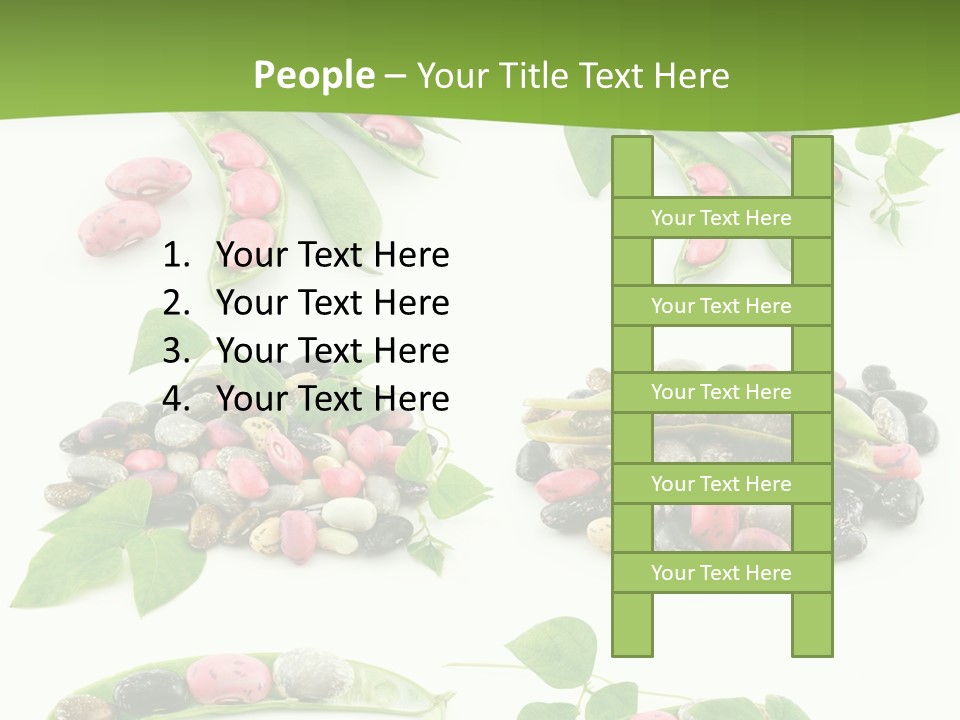 Nature Bean Collection PowerPoint Template