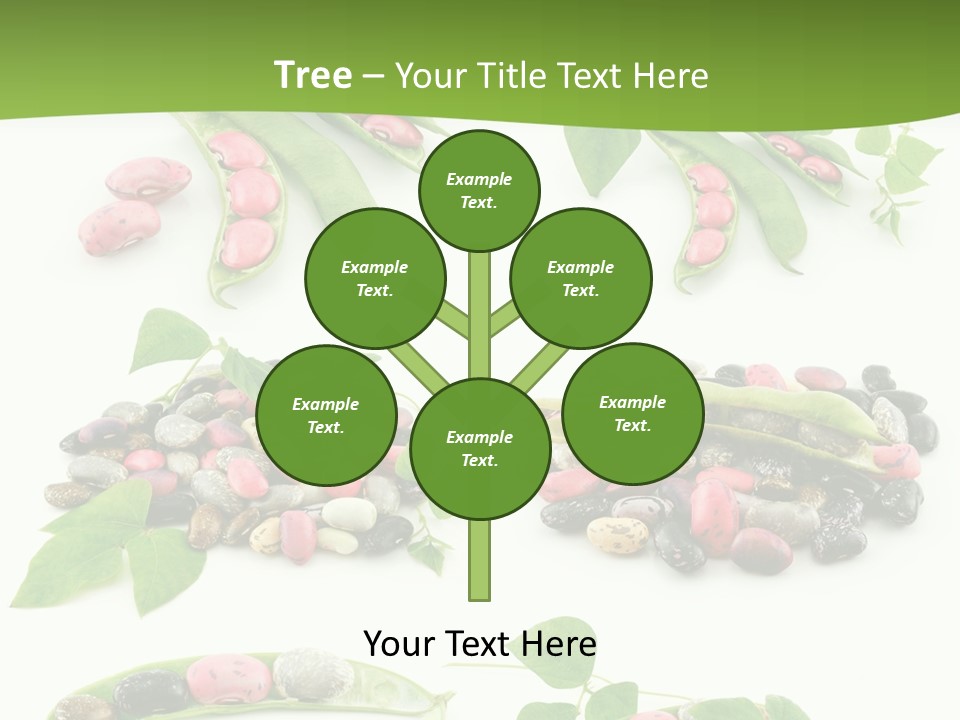 Nature Bean Collection PowerPoint Template