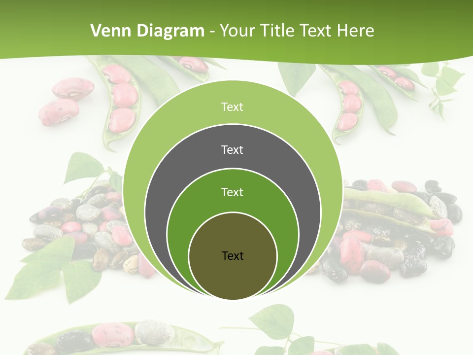 Nature Bean Collection PowerPoint Template