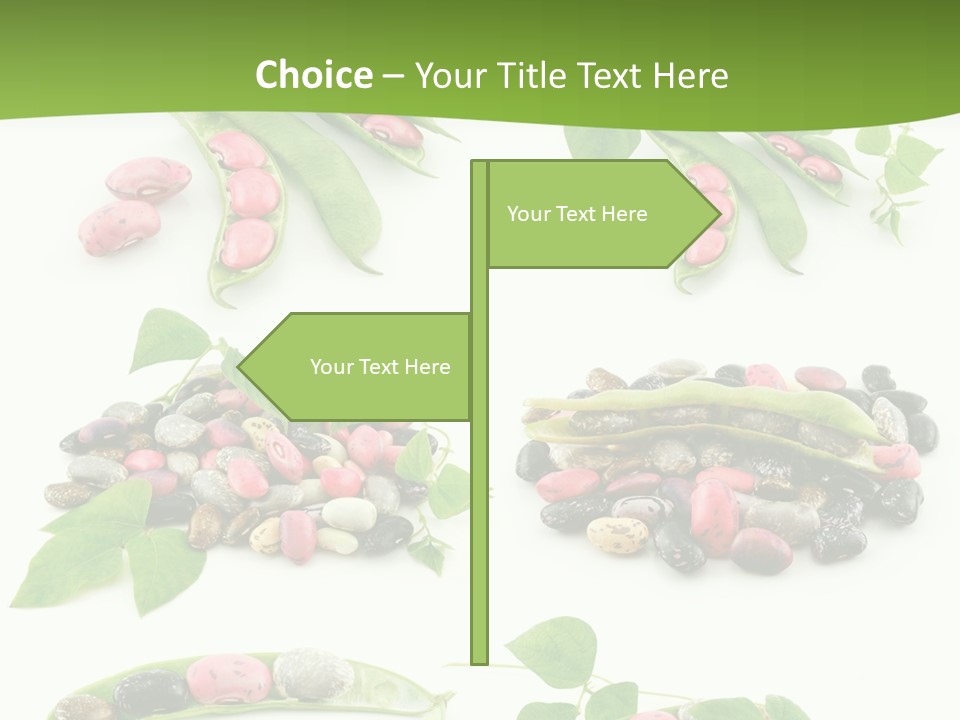 Nature Bean Collection PowerPoint Template