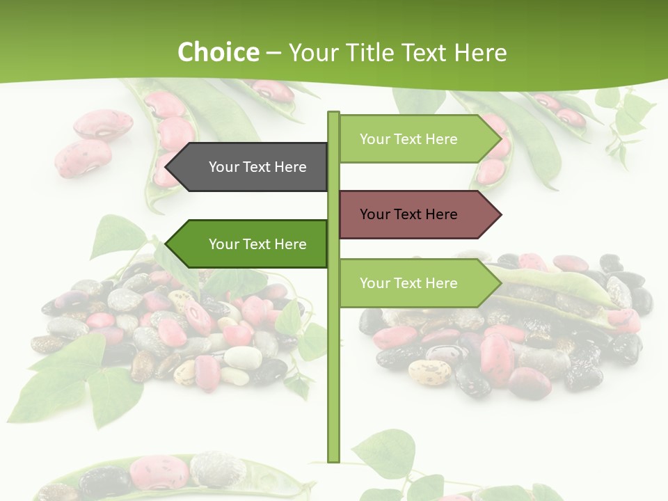 Nature Bean Collection PowerPoint Template