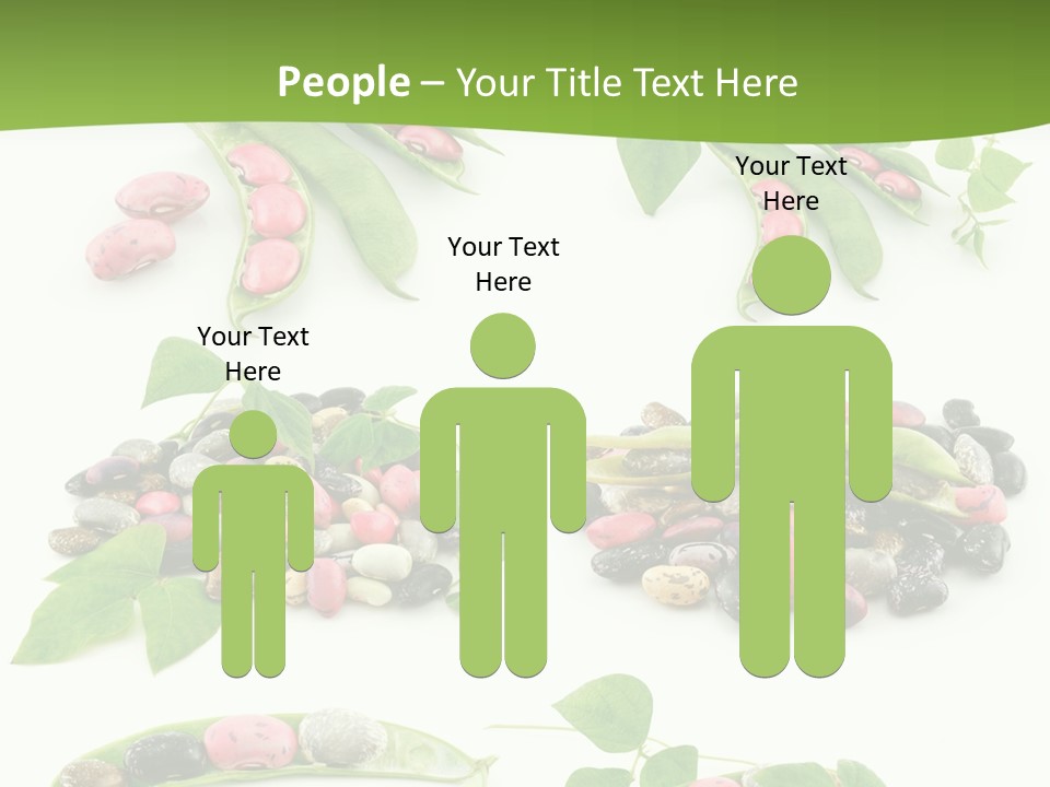 Nature Bean Collection PowerPoint Template