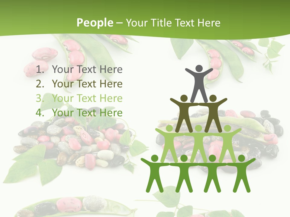 Nature Bean Collection PowerPoint Template