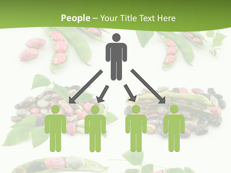 Nature Bean Collection PowerPoint Template