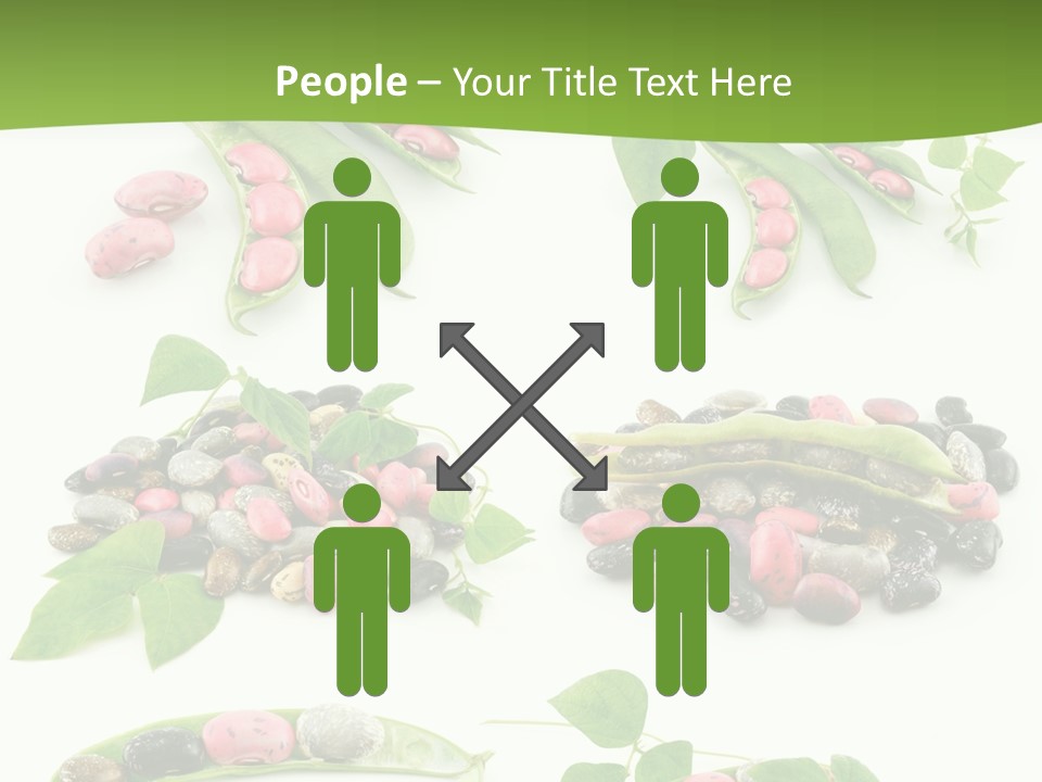 Nature Bean Collection PowerPoint Template