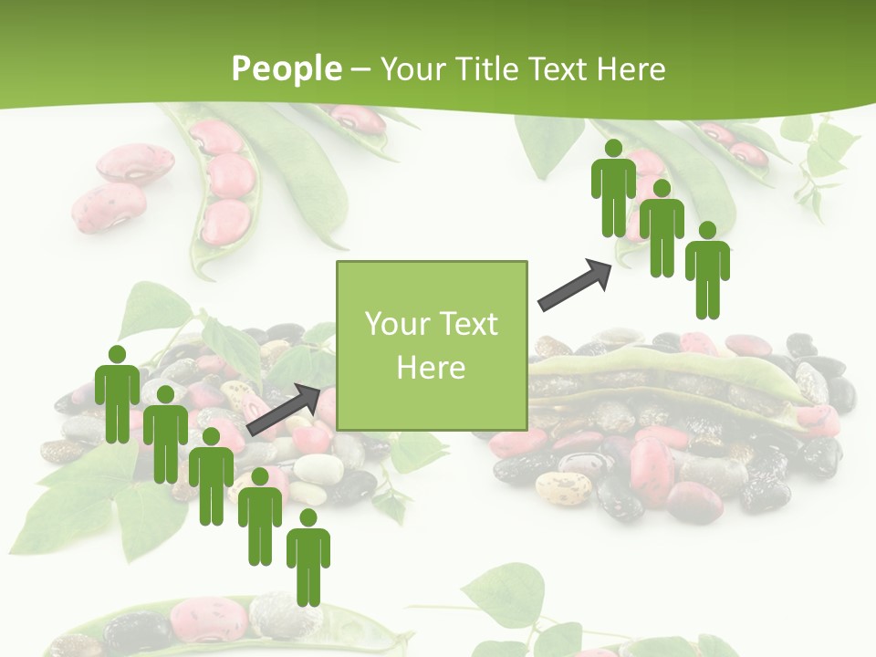 Nature Bean Collection PowerPoint Template