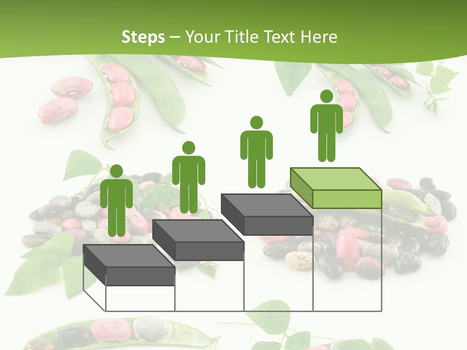 Nature Bean Collection PowerPoint Template