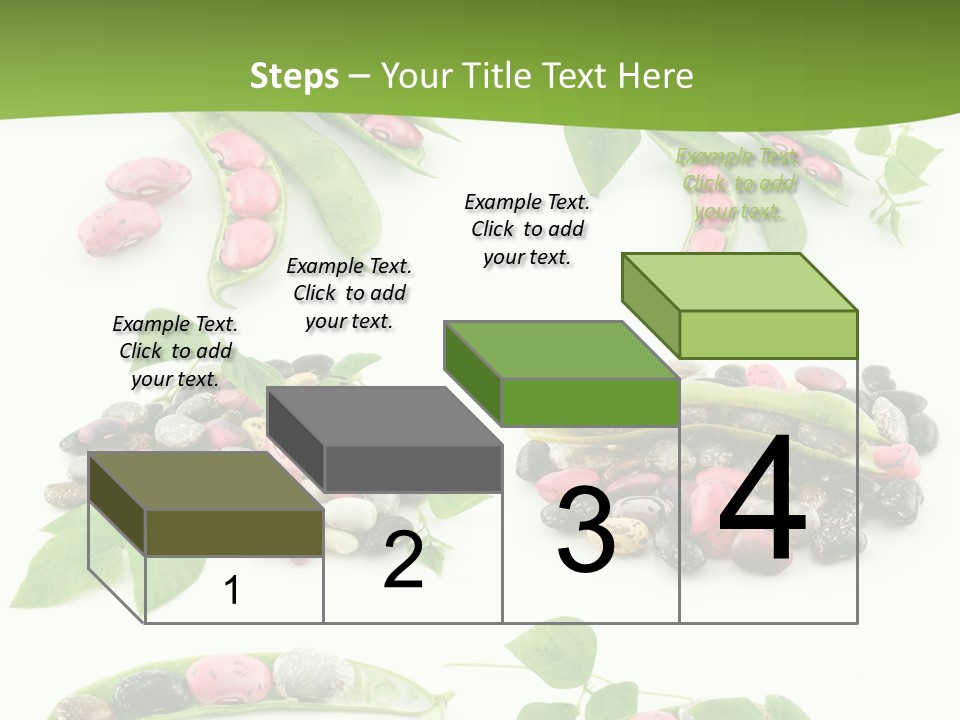 Nature Bean Collection PowerPoint Template