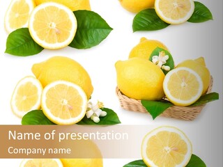 Green Lime Seed PowerPoint Template