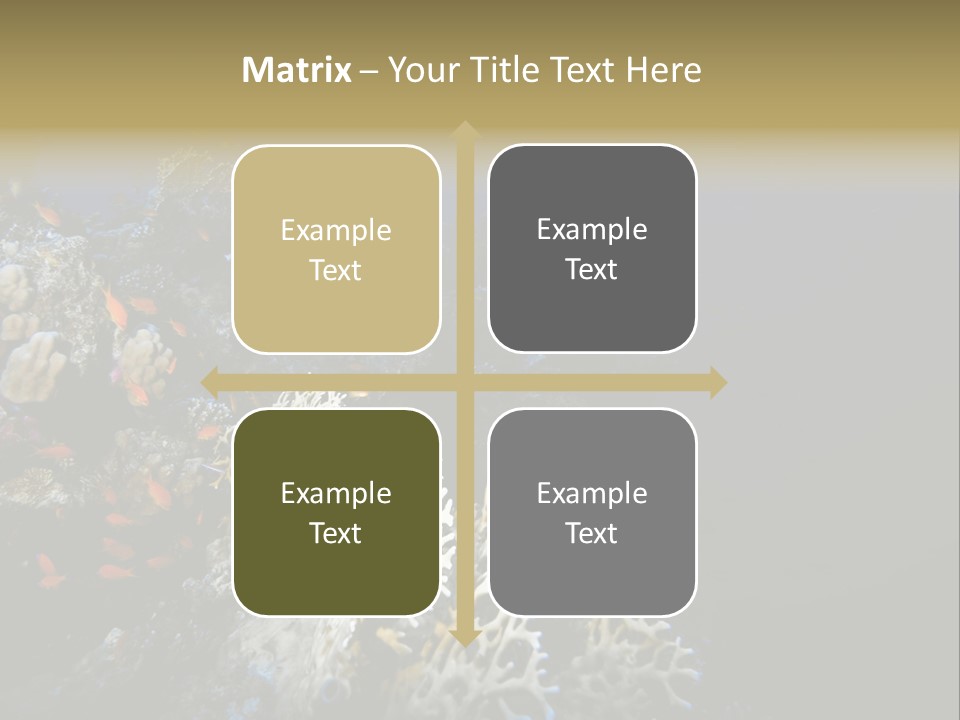 Poisson Perroquet Bouteilles De Plong Eau PowerPoint Template