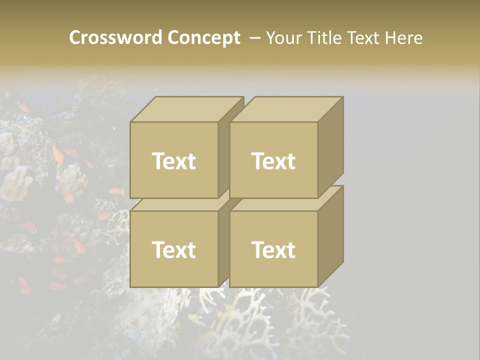 Poisson Perroquet Bouteilles De Plong Eau PowerPoint Template