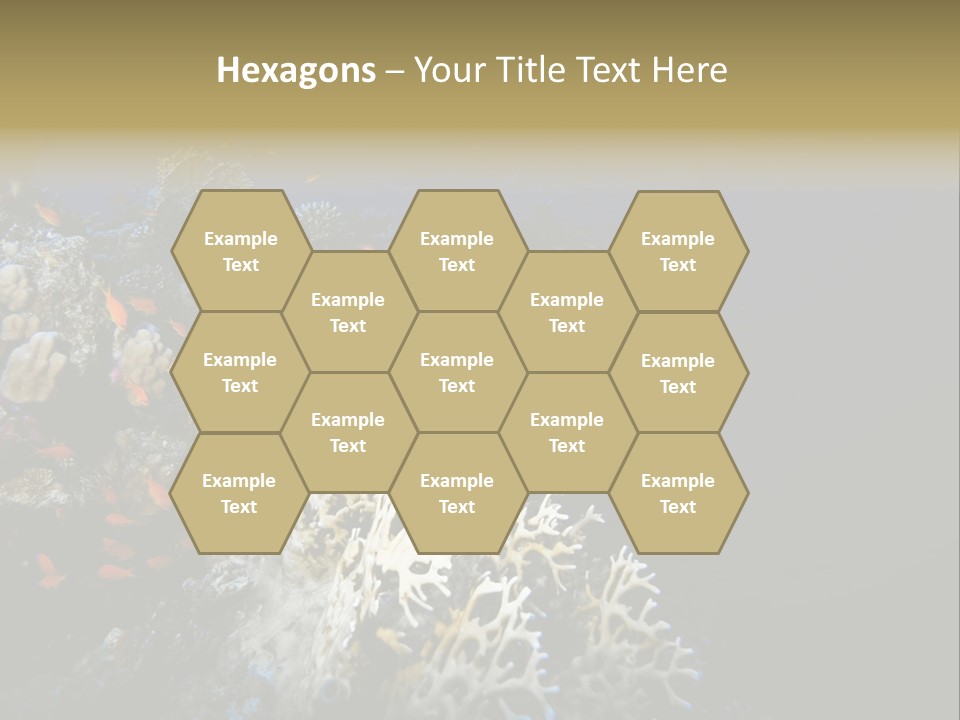 Poisson Perroquet Bouteilles De Plong Eau PowerPoint Template