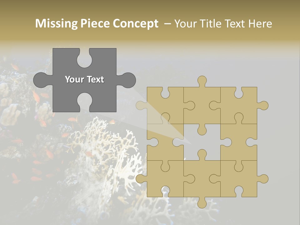 Poisson Perroquet Bouteilles De Plong Eau PowerPoint Template