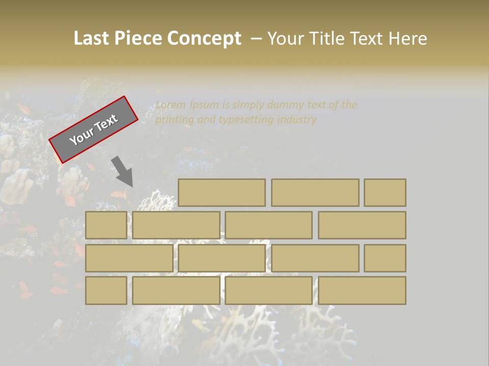 Poisson Perroquet Bouteilles De Plong Eau PowerPoint Template