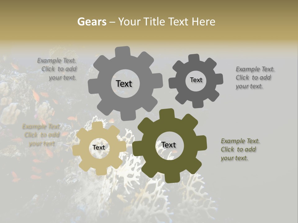 Poisson Perroquet Bouteilles De Plong Eau PowerPoint Template