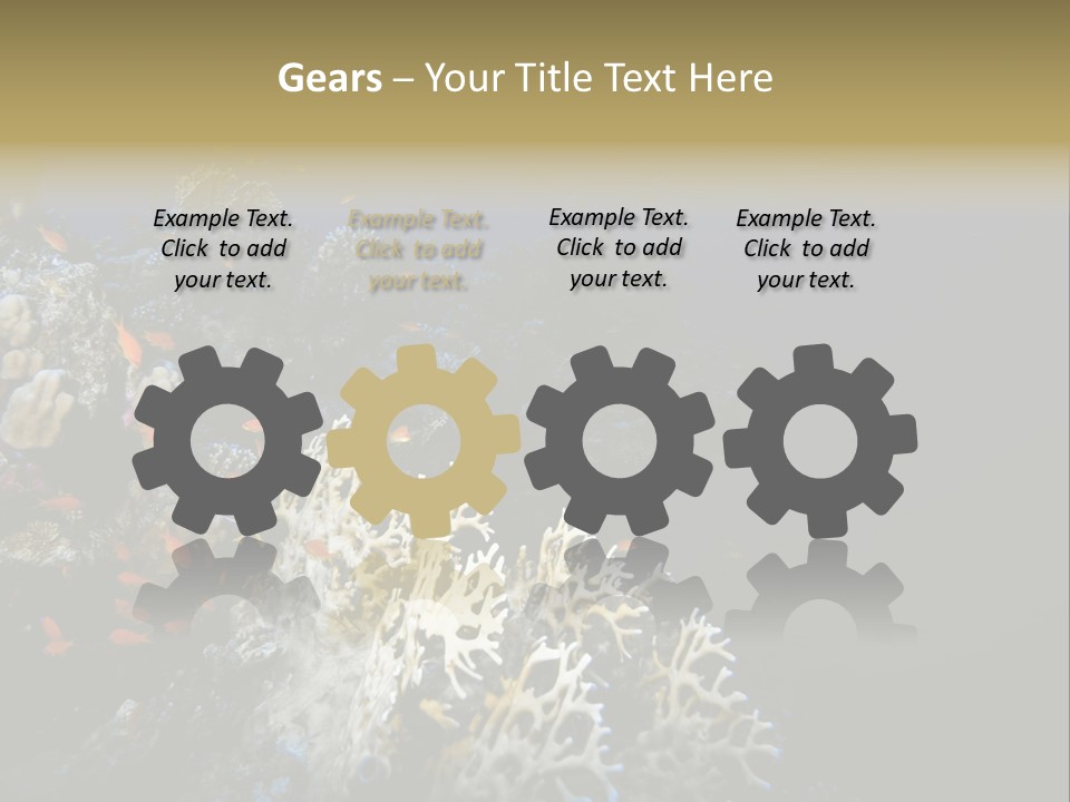 Poisson Perroquet Bouteilles De Plong Eau PowerPoint Template