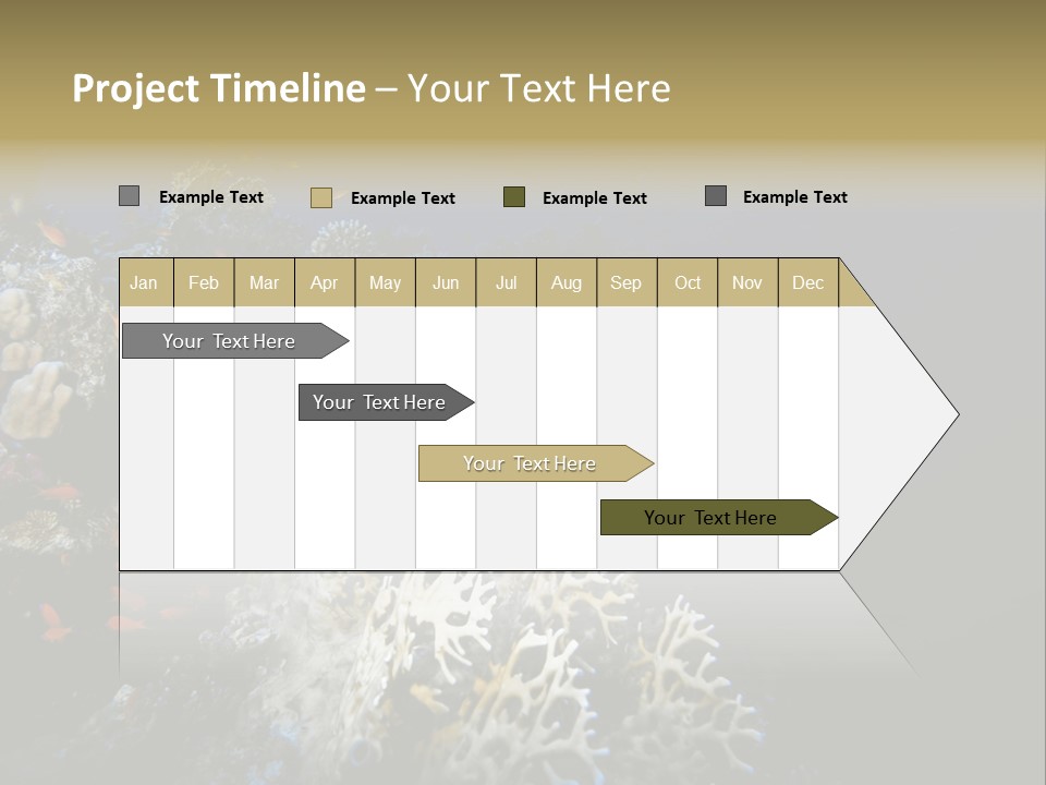 Poisson Perroquet Bouteilles De Plong Eau PowerPoint Template