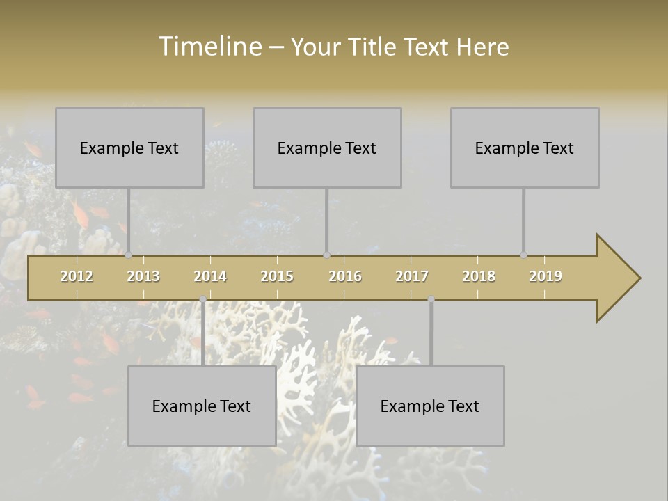 Poisson Perroquet Bouteilles De Plong Eau PowerPoint Template