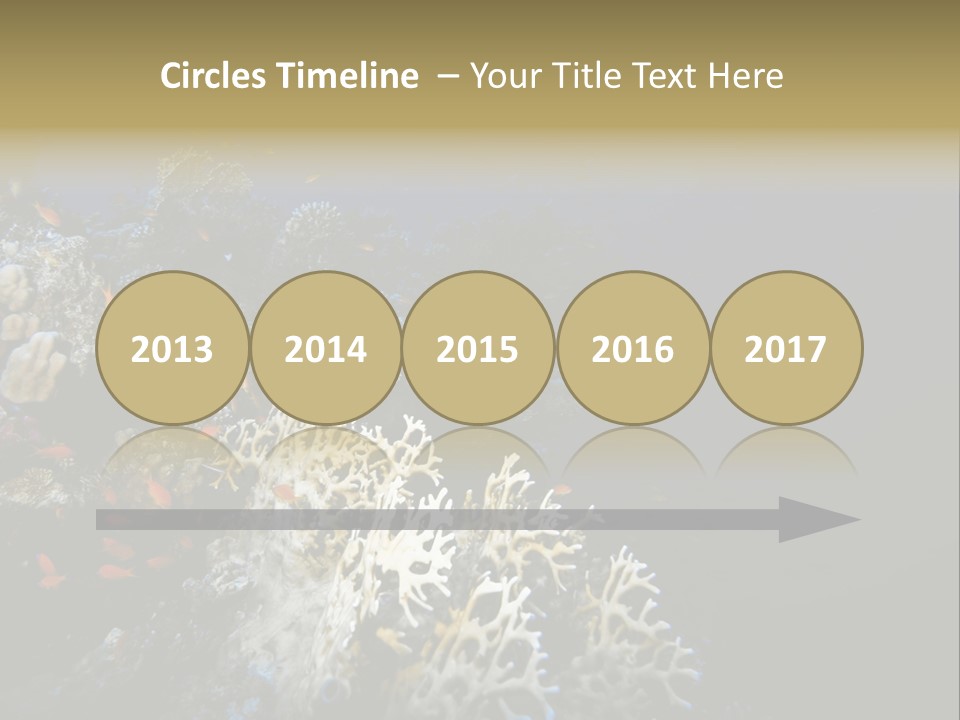 Poisson Perroquet Bouteilles De Plong Eau PowerPoint Template