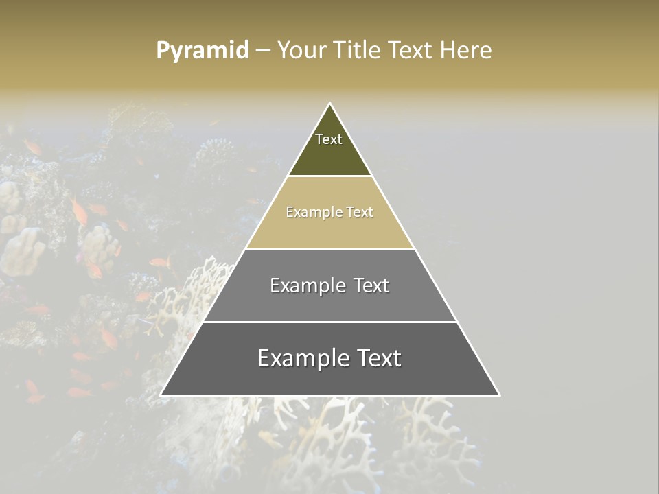 Poisson Perroquet Bouteilles De Plong Eau PowerPoint Template