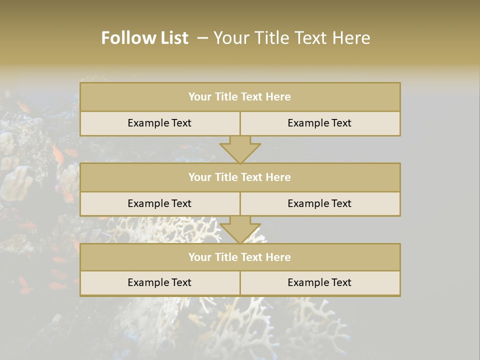 Poisson Perroquet Bouteilles De Plong Eau PowerPoint Template