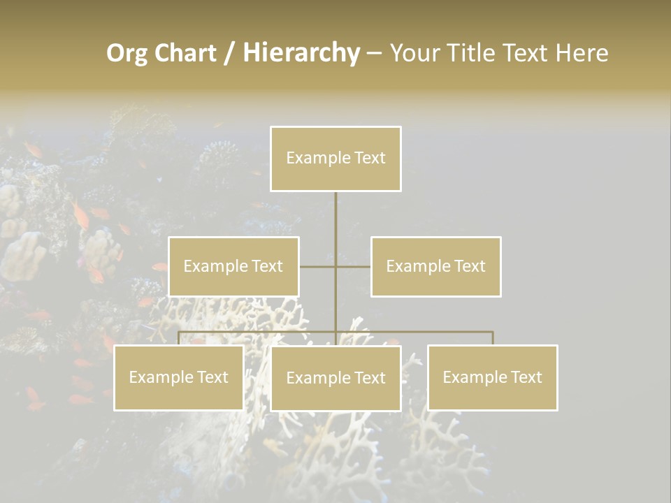 Poisson Perroquet Bouteilles De Plong Eau PowerPoint Template