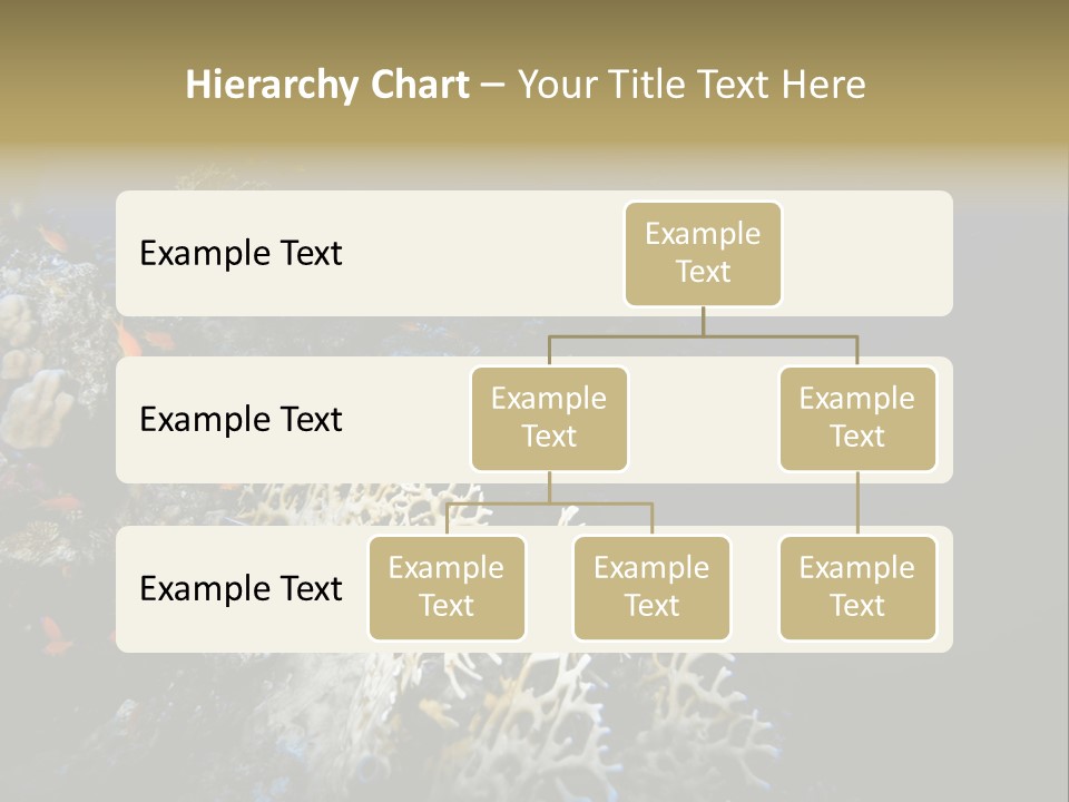 Poisson Perroquet Bouteilles De Plong Eau PowerPoint Template