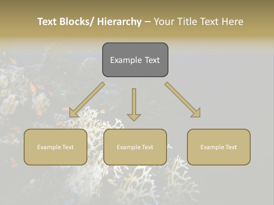 Poisson Perroquet Bouteilles De Plong Eau PowerPoint Template