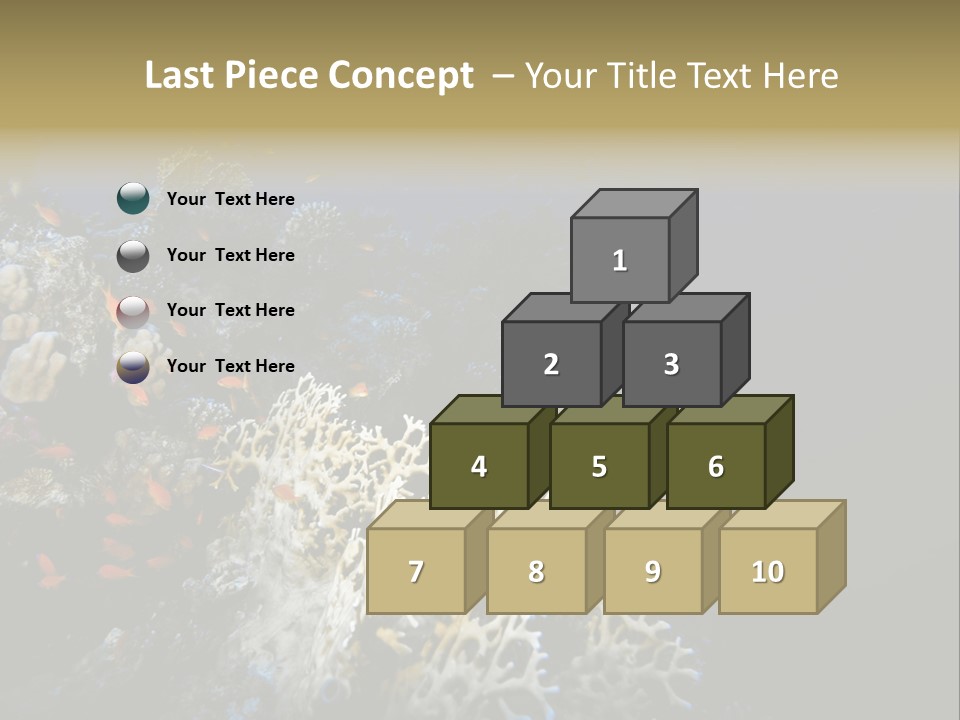 Poisson Perroquet Bouteilles De Plong Eau PowerPoint Template