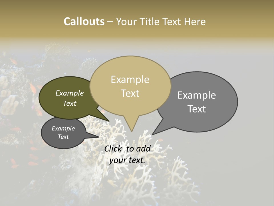 Poisson Perroquet Bouteilles De Plong Eau PowerPoint Template