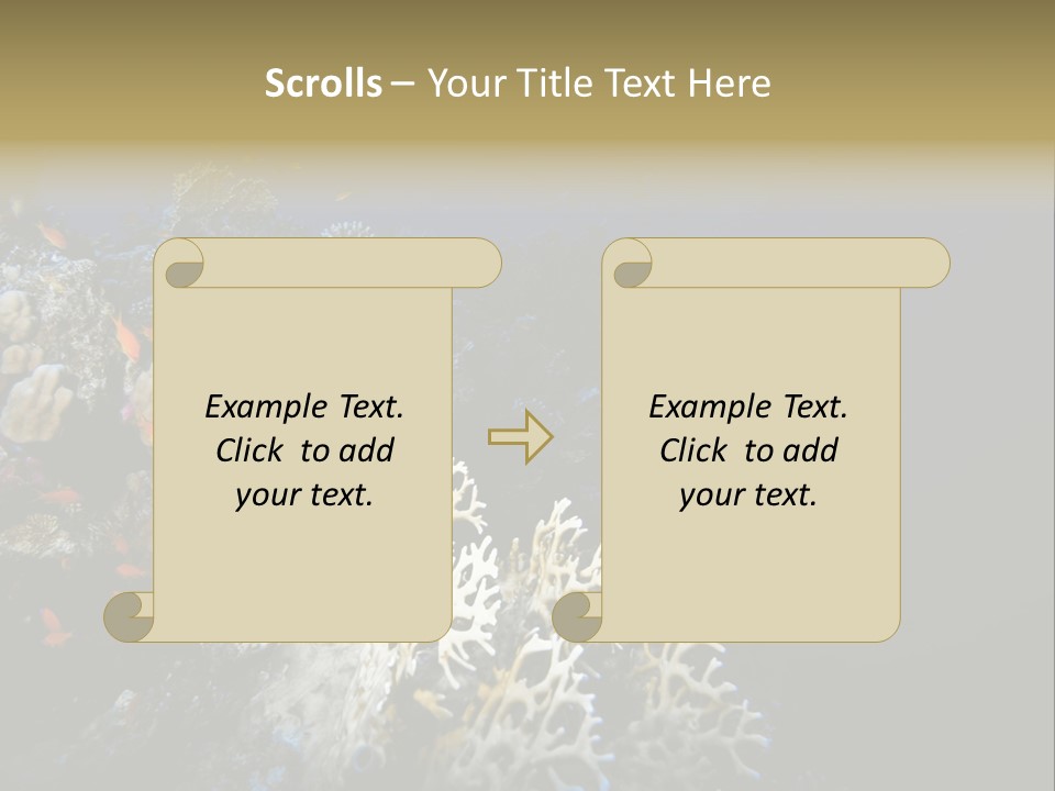 Poisson Perroquet Bouteilles De Plong Eau PowerPoint Template