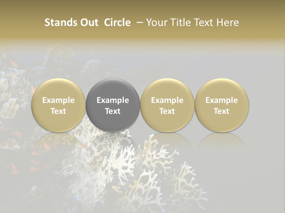 Poisson Perroquet Bouteilles De Plong Eau PowerPoint Template