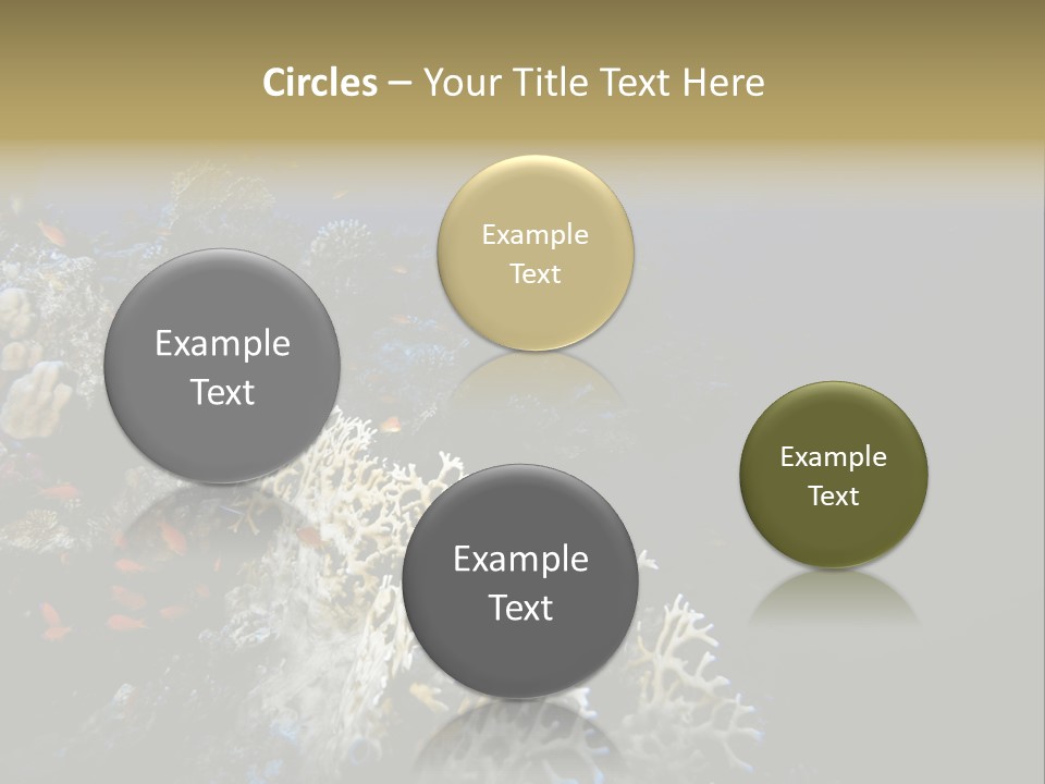 Poisson Perroquet Bouteilles De Plong Eau PowerPoint Template